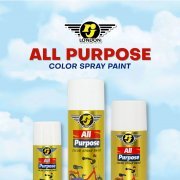 All Purpose paint