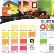 Super One Acrilyc Emulsion Paint